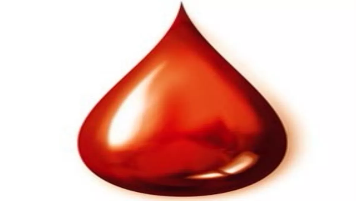 IBM sucks SUN's NZ blood business dry
