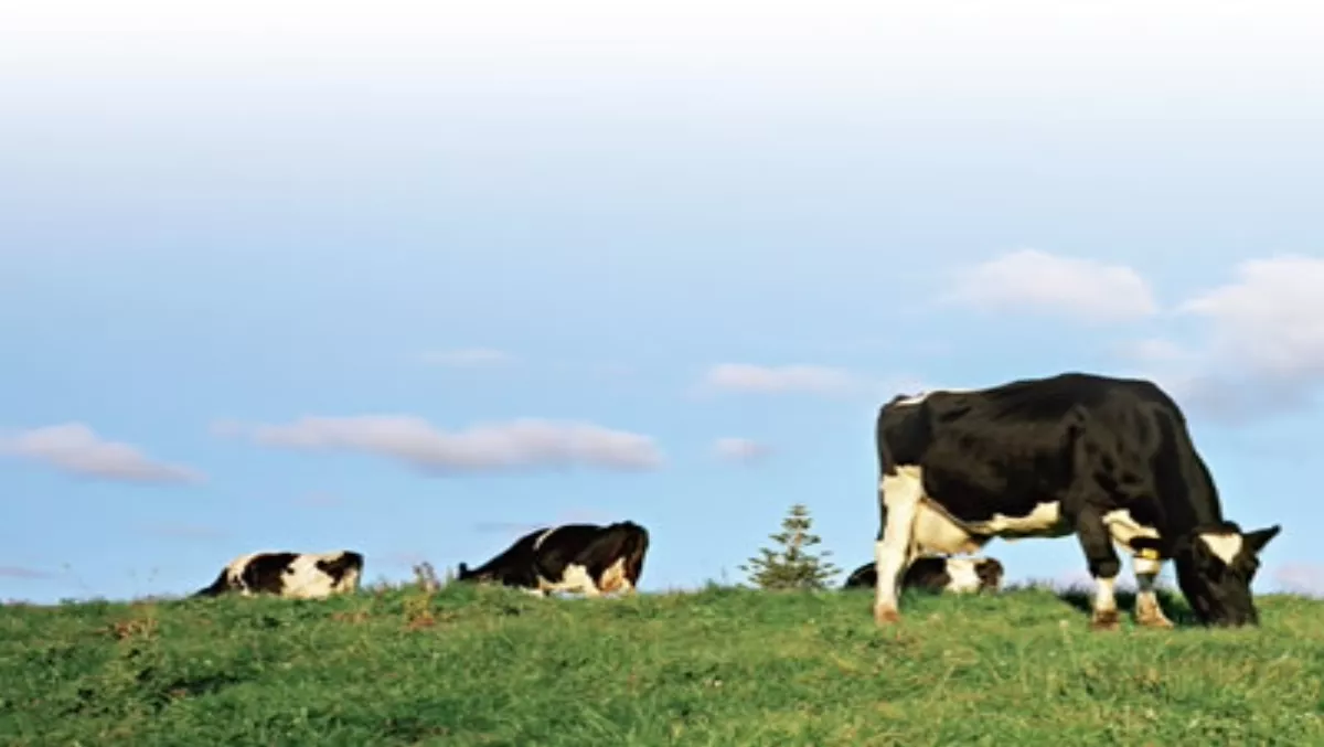 Dairy express