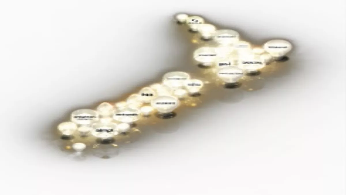Microsoft changes NZ Partner Awards