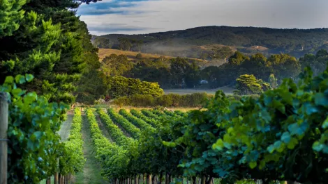 Gettyimages 1179748785