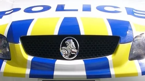 Police car front