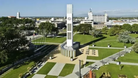 Palmerston north