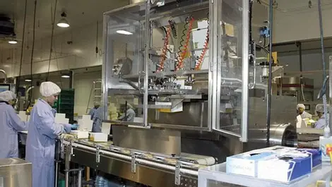 Lack of systems at the heart of worker’s death