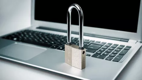 Thinkstockphotos 998497852