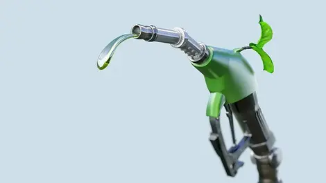 Biofuel mandate – lower emissions or just higher fuel prices?