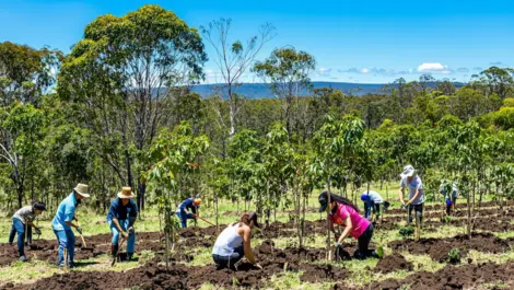 Techday 58565d2a142012d4d0b8